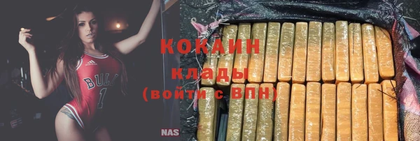 молекула духа Абинск
