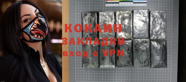 шишки Абаза